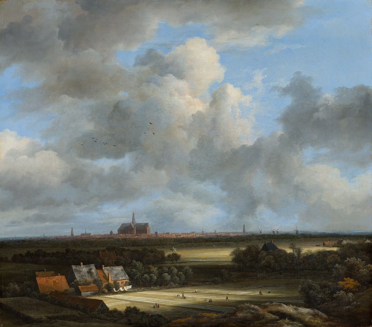 View of Dutch landscape